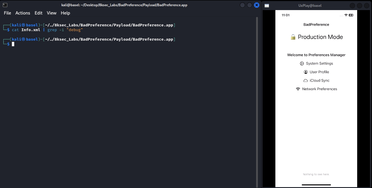 Investigating plist