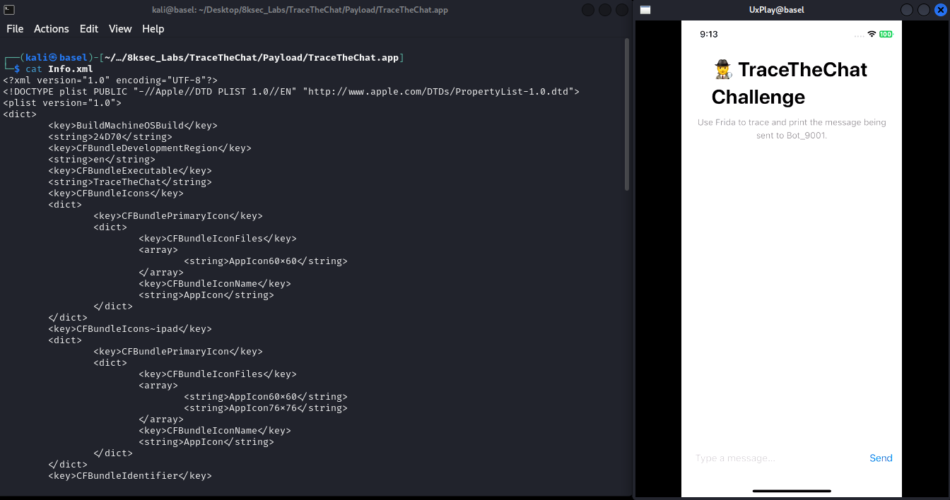 Info.plist